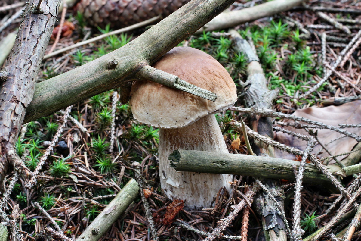 2014_08_14_00049503p_Bildgr��e �ndern