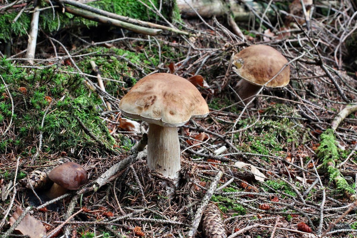 2014_08_14_00049508p_Bildgr��e �ndern