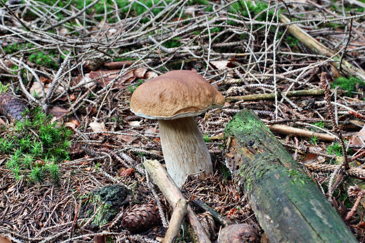 2014_08_14_00049519p_Bildgr��e �ndern