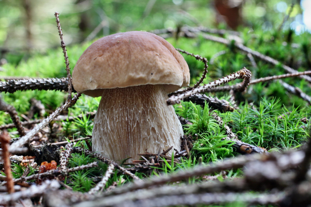 2014_08_14_00049527p_Bildgr��e �ndern