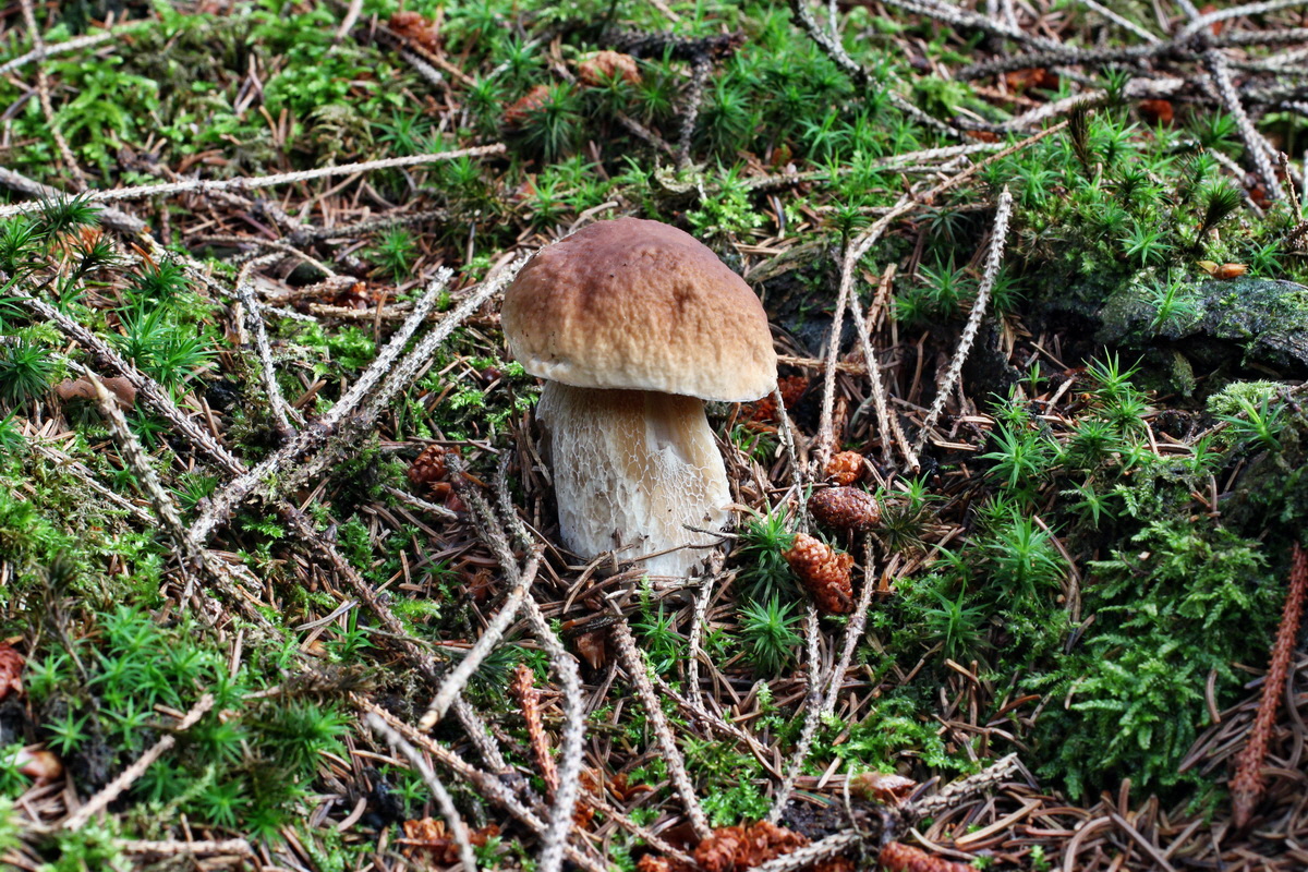 2014_08_14_00049540p_Bildgr��e �ndern