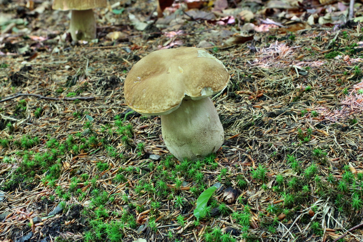 2014_08_14_00049557p_Bildgr��e �ndern