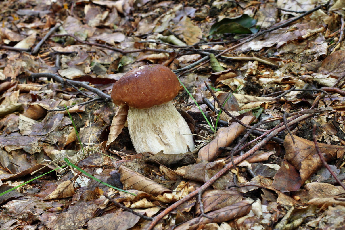 2014_08_14_00049562p_Bildgr��e �ndern