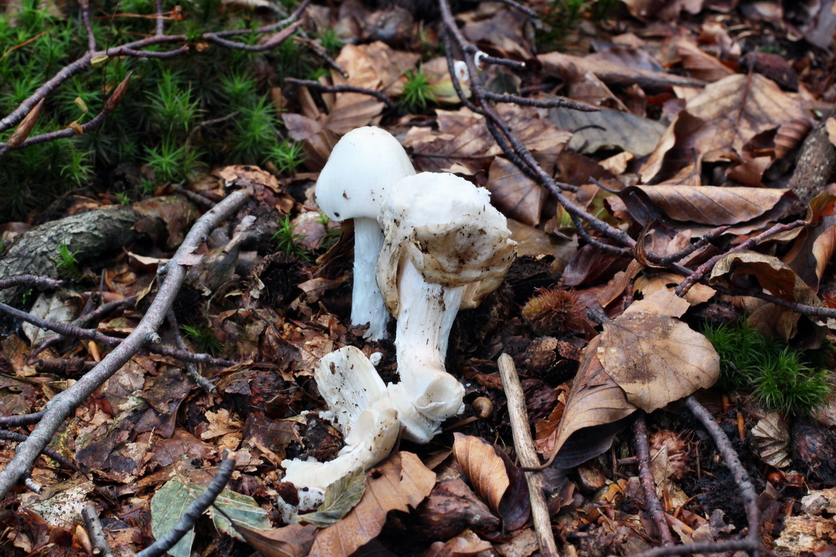 2014_08_14_00049575p_Bildgr��e �ndern