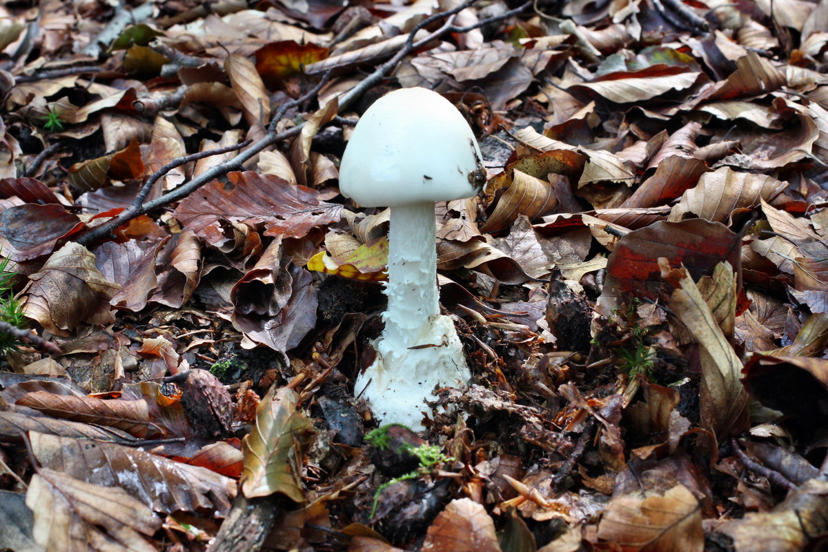 2014_08_14_00049576p_Bildgr��e �ndern