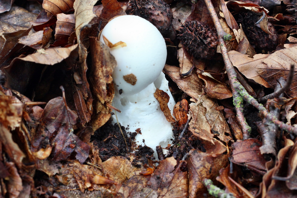 2014_08_14_00049581p_Bildgr��e �ndern