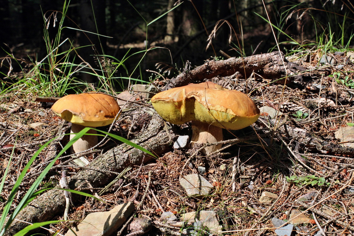 2014_08_14_00049587p_Bildgr��e �ndern