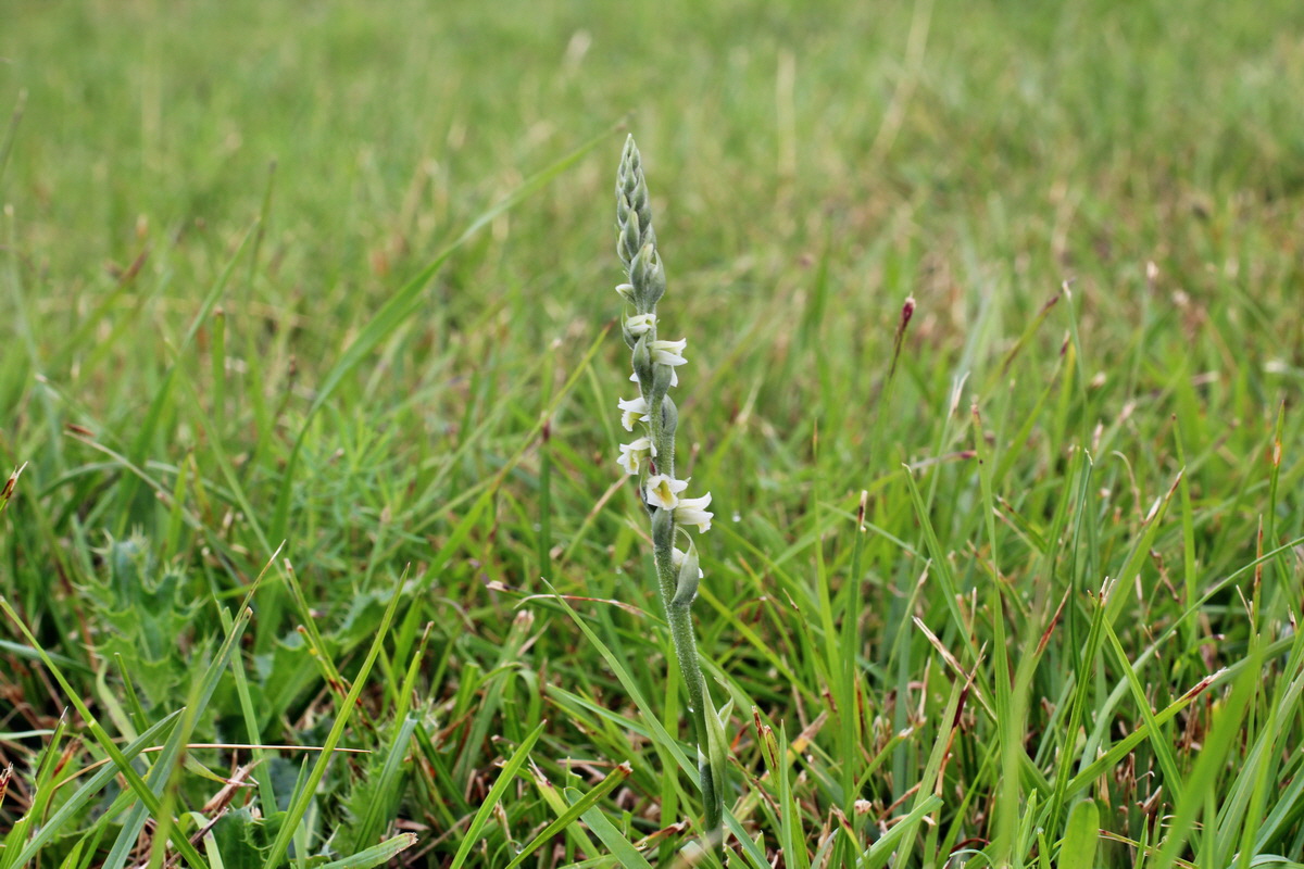 2014_08_15_00049603p_Bildgr��e �ndern