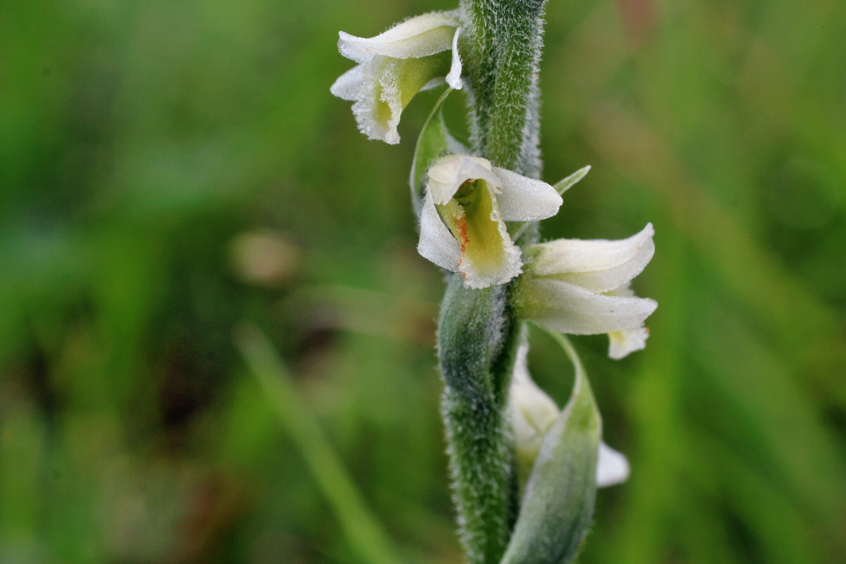 2014_08_15_00049607p_Bildgr��e �ndern