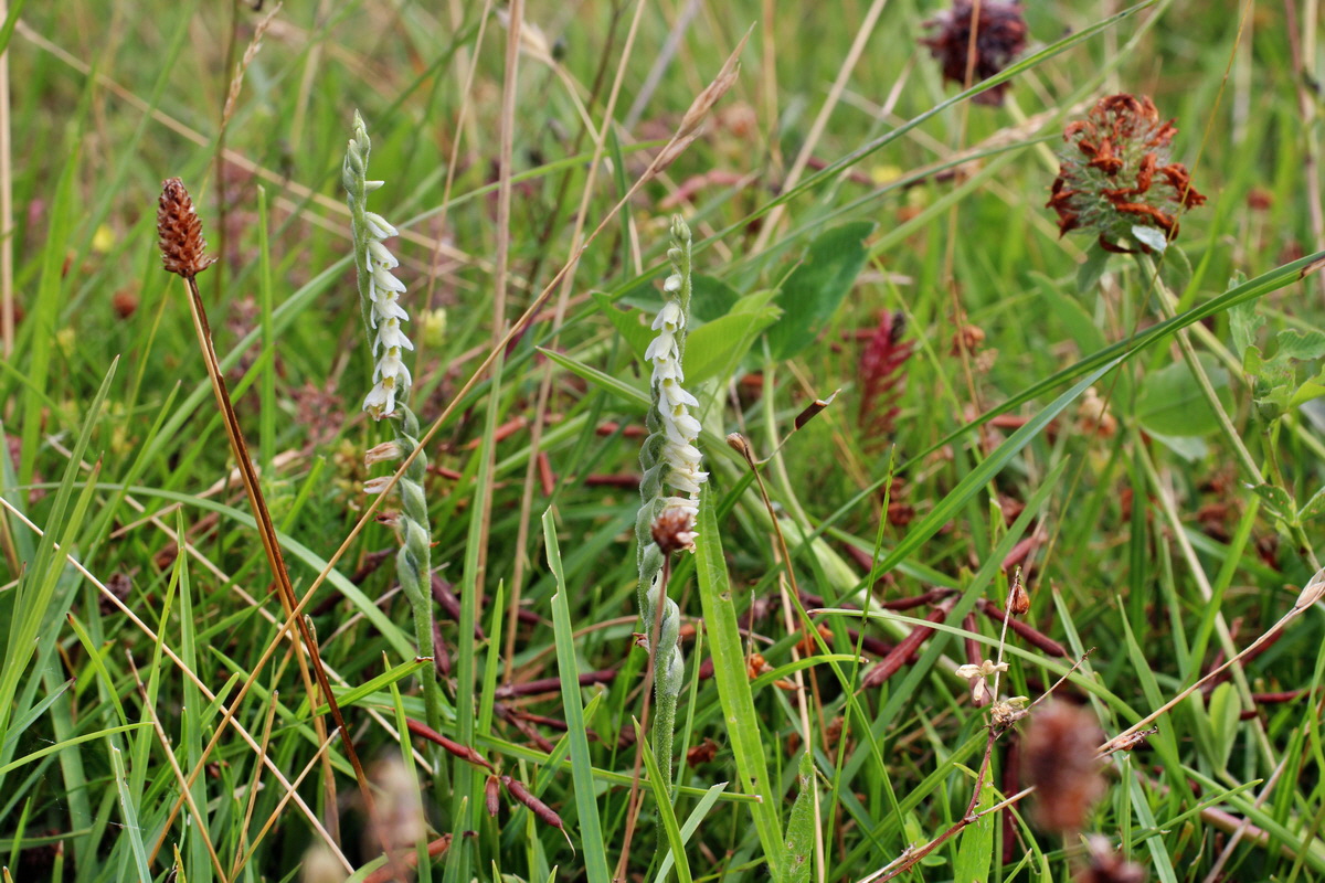 2014_08_15_00049617p_Bildgr��e �ndern