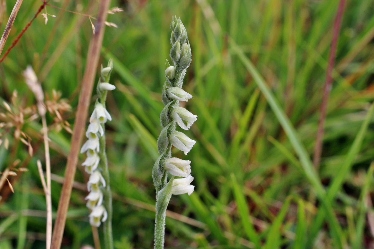 2014_08_15_00049619p_Bildgr��e �ndern