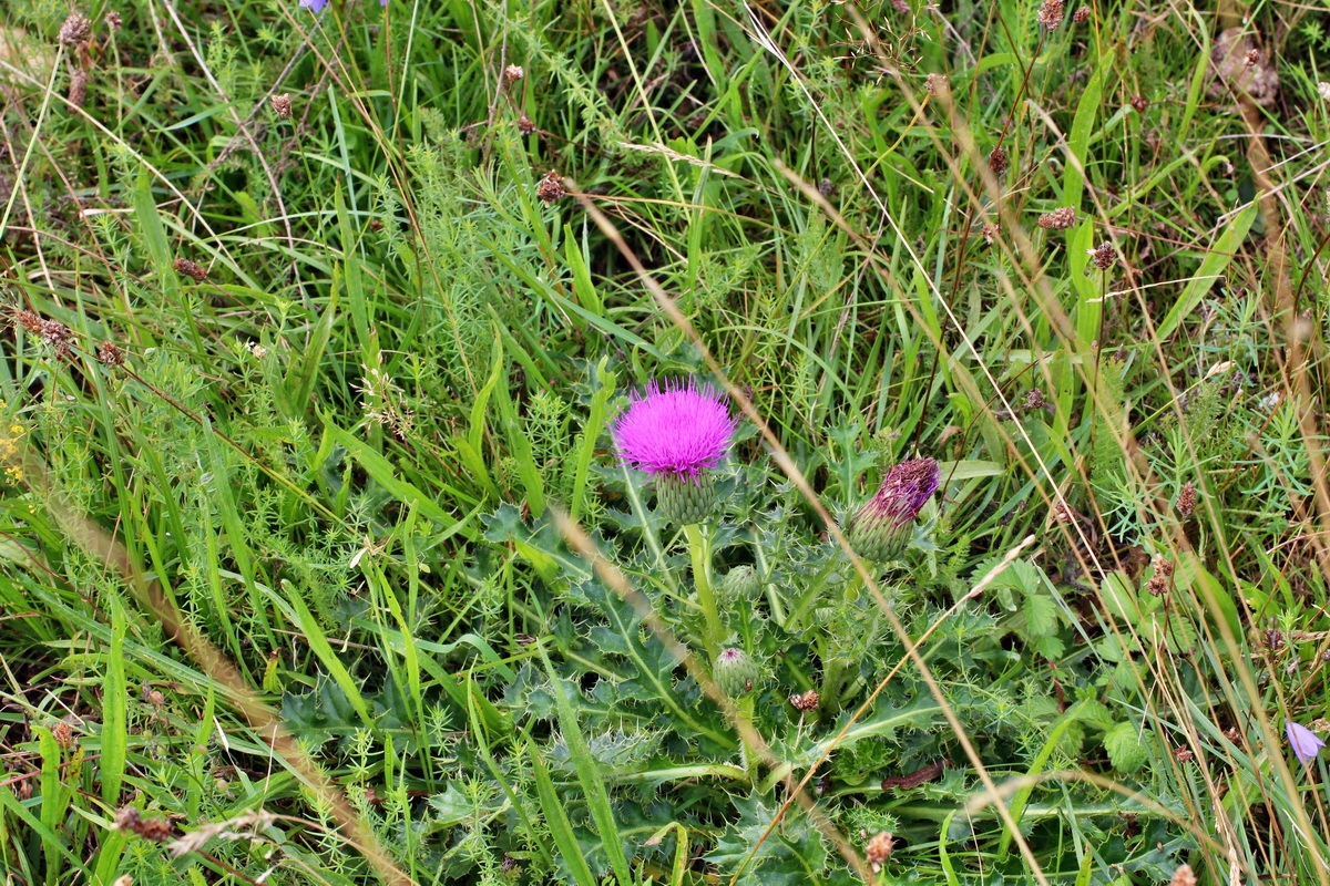 2014_08_15_00049621p_Bildgr��e �ndern