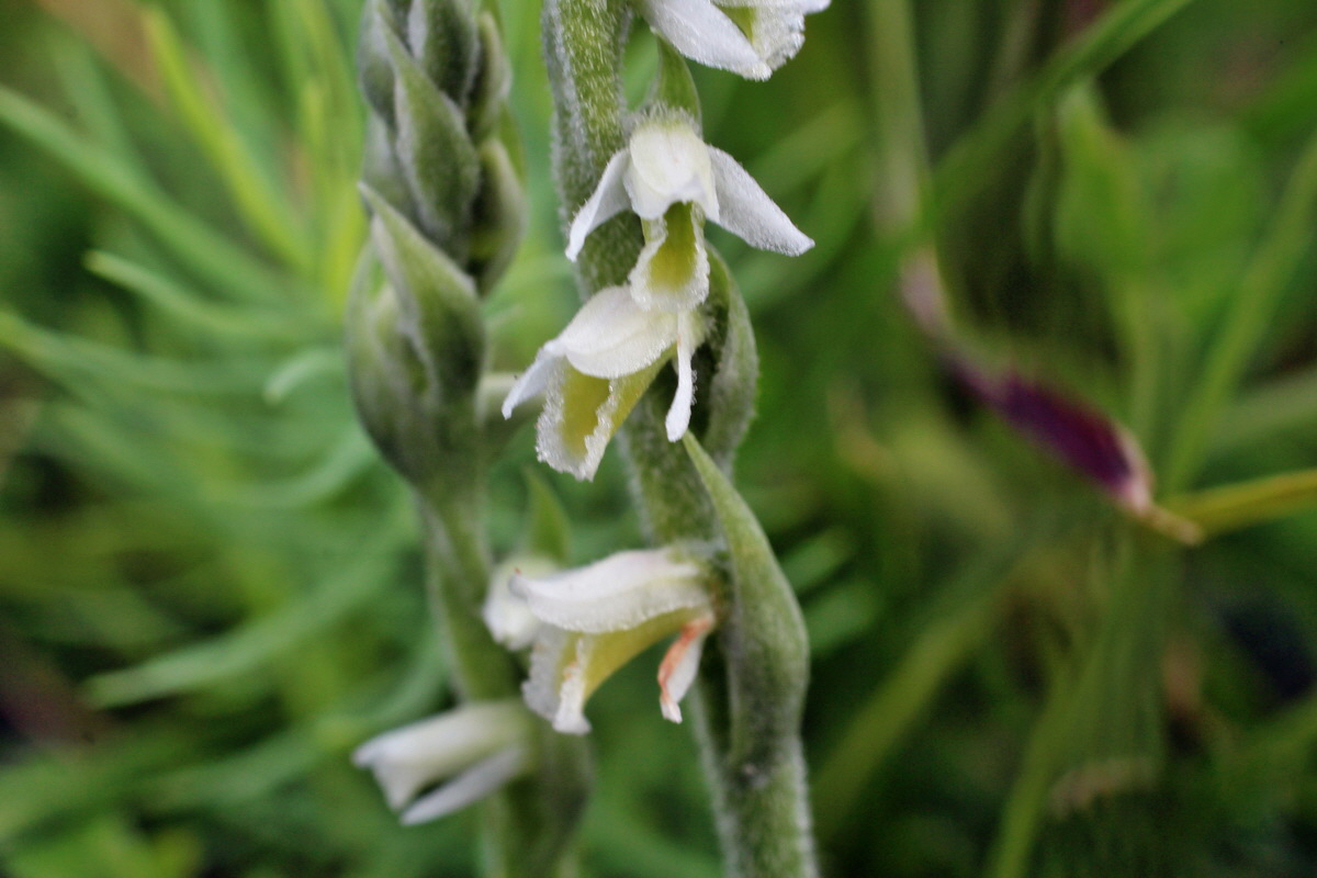 2014_08_15_00049623p_Bildgr��e �ndern