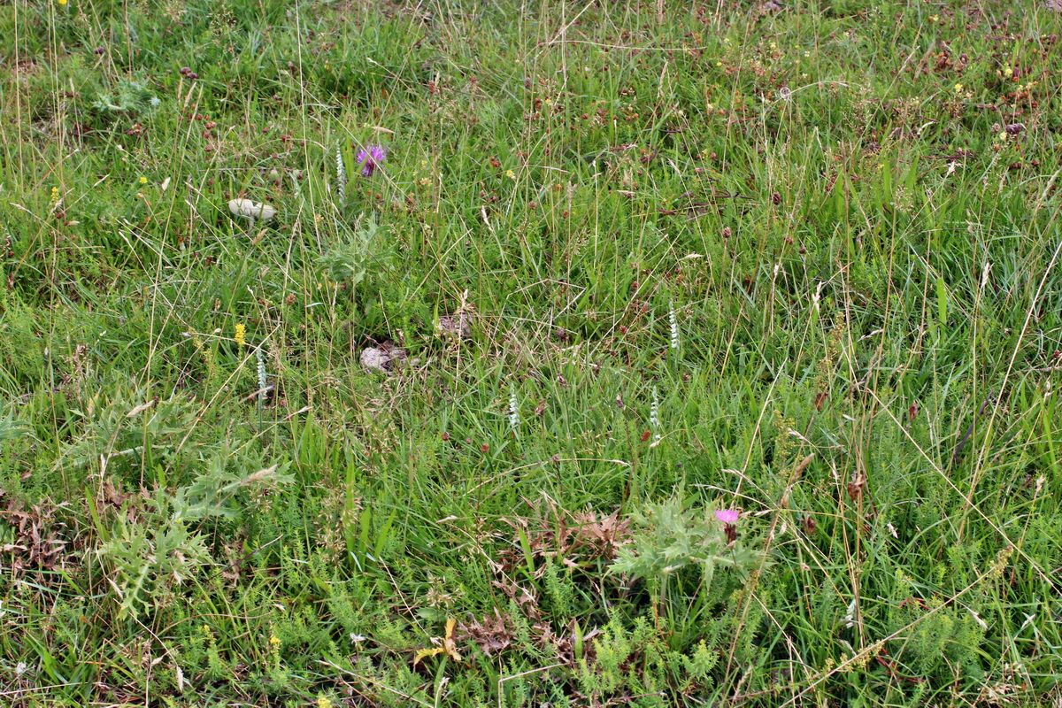 2014_08_15_00049629p_Bildgr��e �ndern