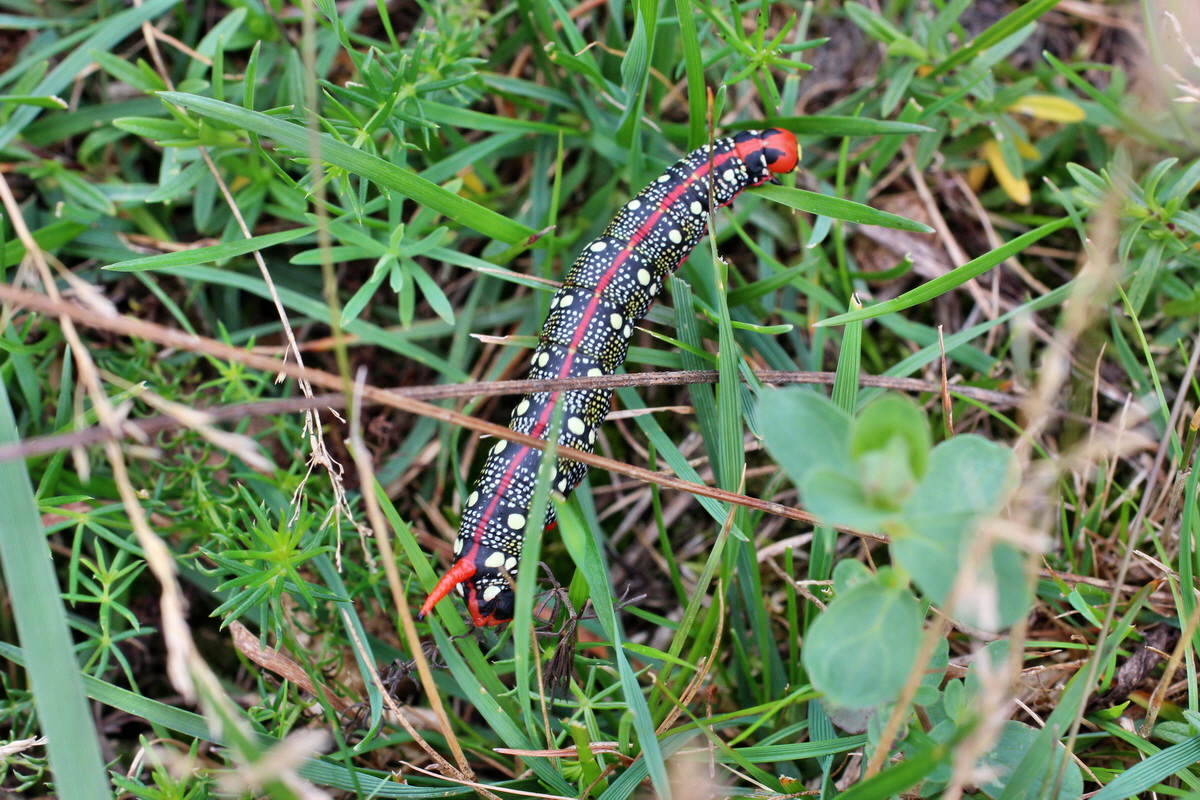 2014_08_15_00049636p_Bildgr��e �ndern