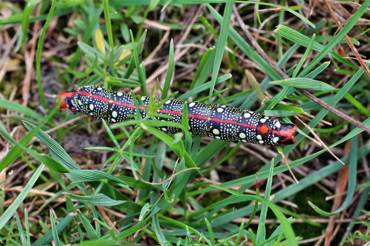 2014_08_15_00049640p_Bildgr��e �ndern