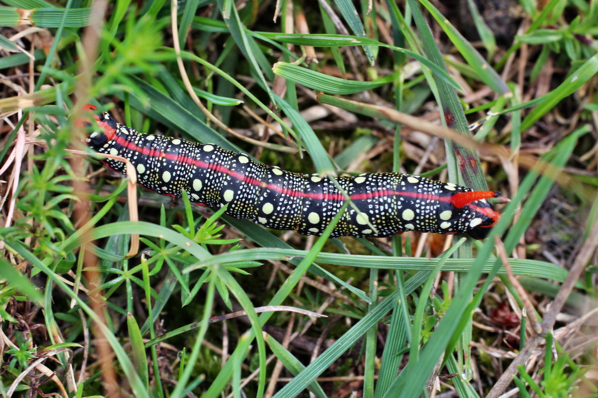 2014_08_15_00049647p_Bildgr��e �ndern