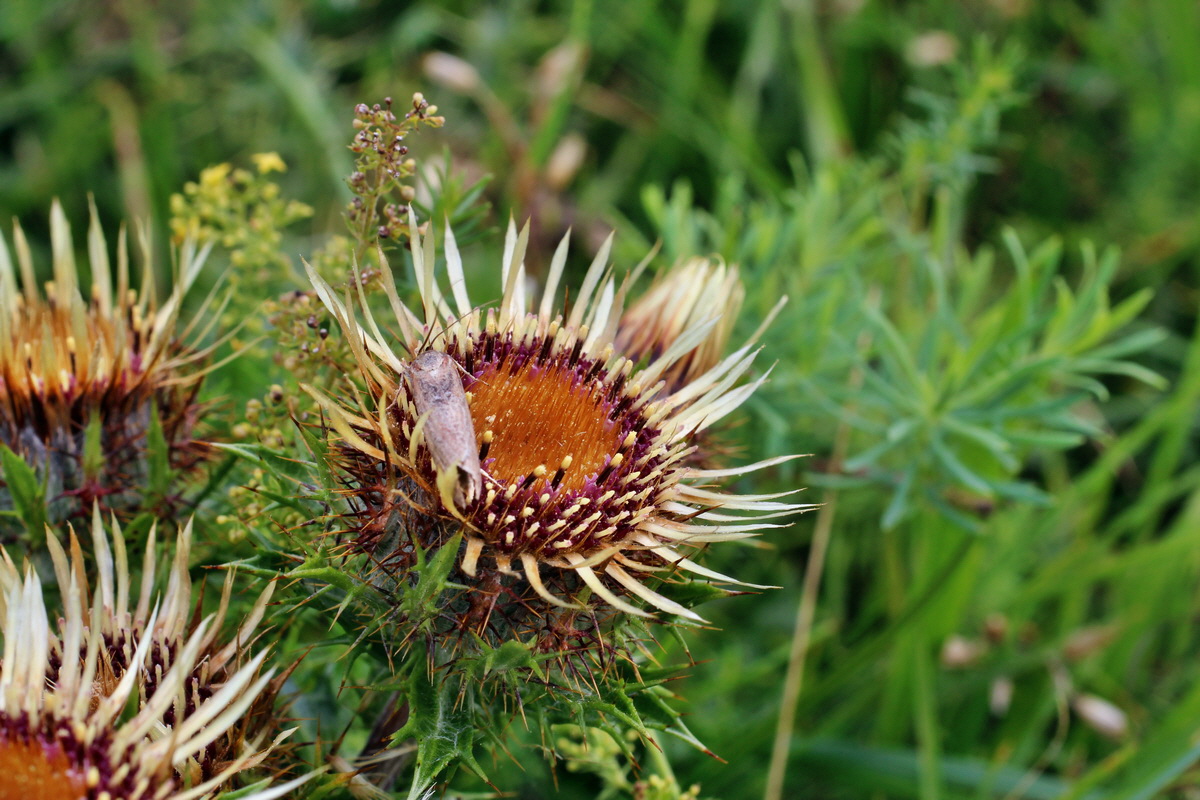 2014_08_15_00049652p_Bildgr��e �ndern