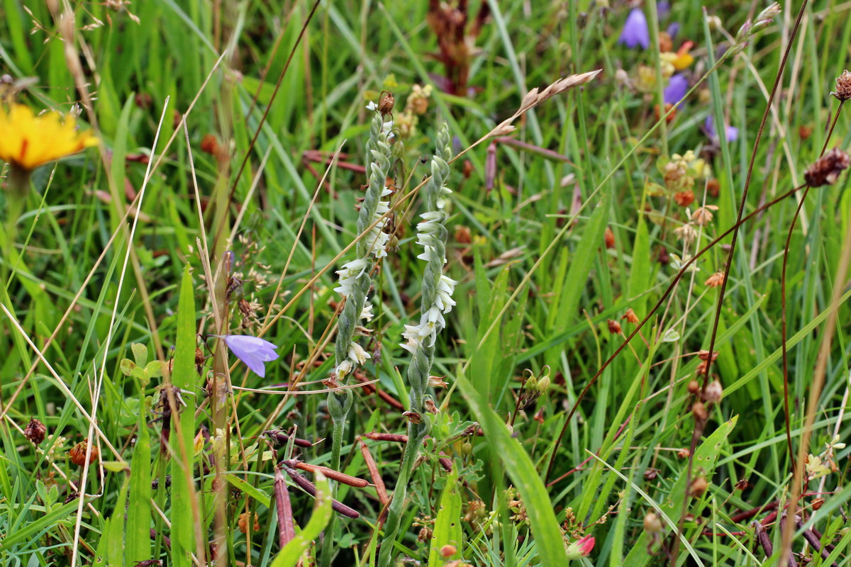 2014_08_15_00049660p_Bildgr��e �ndern