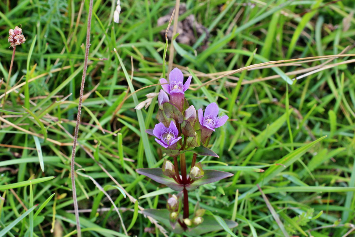 2014_08_15_00049663p_Bildgr��e �ndern