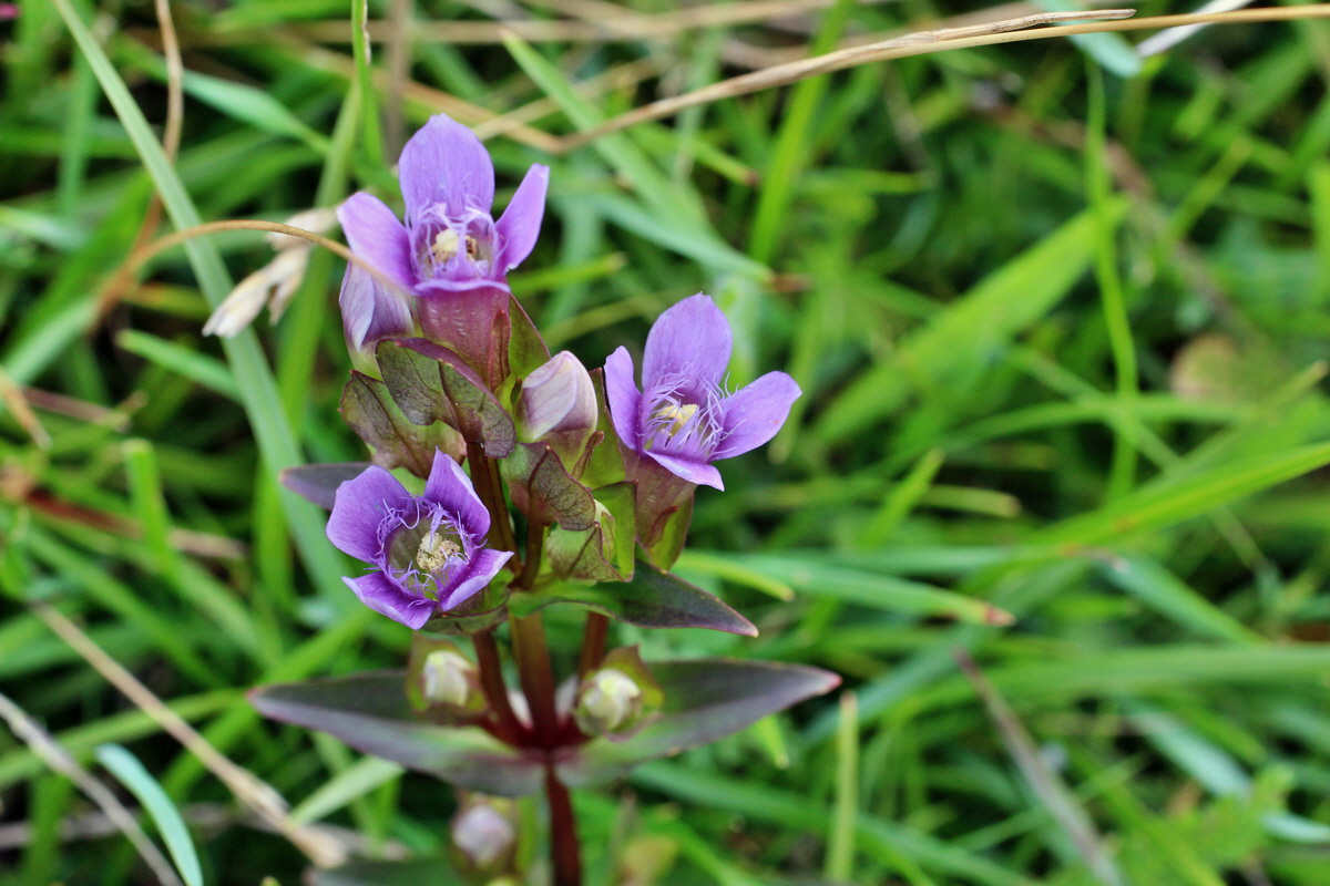 2014_08_15_00049666p_Bildgr��e �ndern