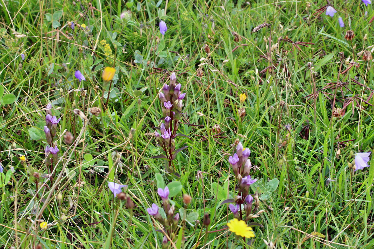 2014_08_15_00049671p_Bildgr��e �ndern