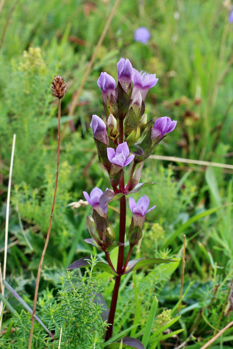 2014_08_15_00049677p_Bildgr��e �ndern