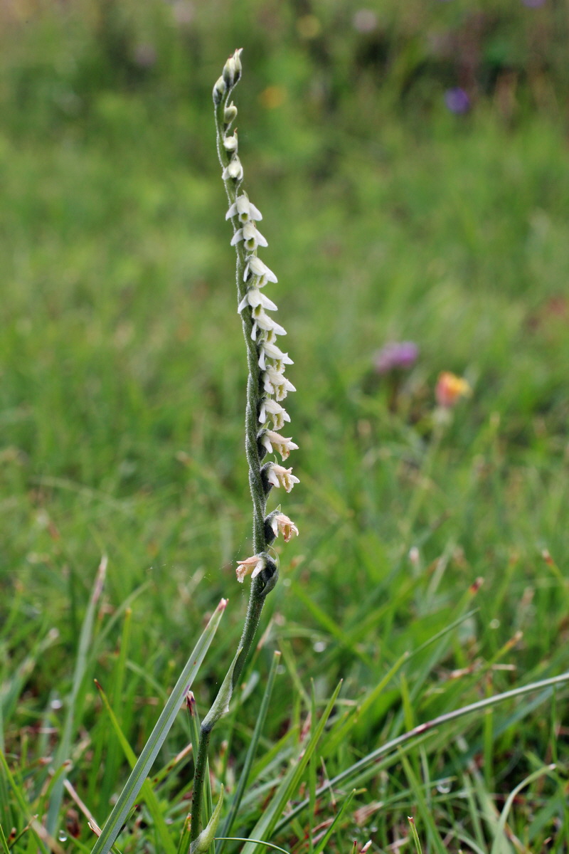 2014_08_15_00049683p_Bildgr��e �ndern