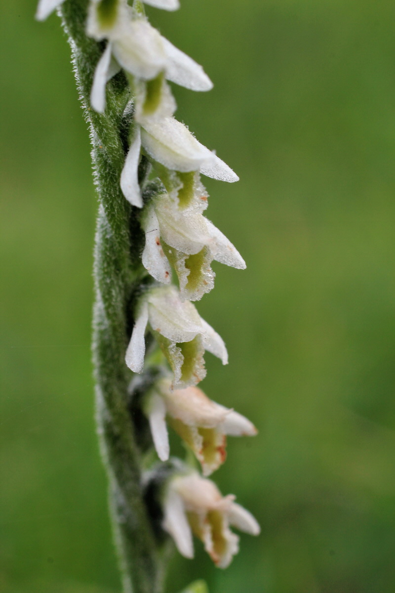 2014_08_15_00049685p_Bildgr��e �ndern