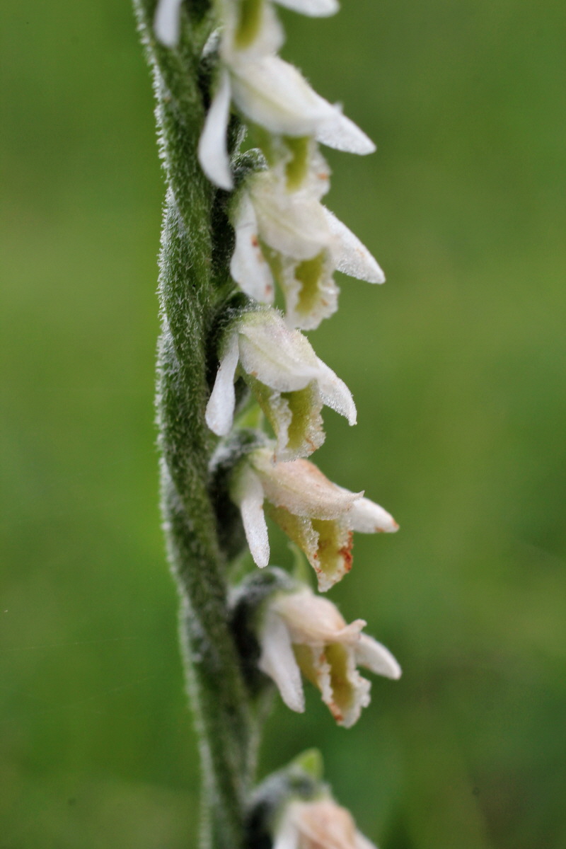 2014_08_15_00049688p_Bildgr��e �ndern