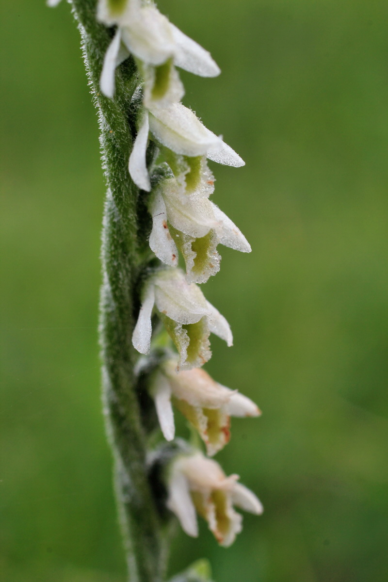 2014_08_15_00049697p_Bildgr��e �ndern