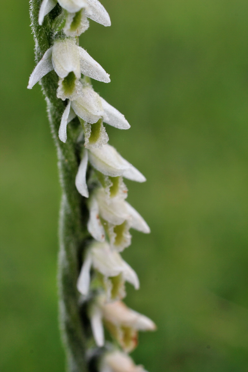 2014_08_15_00049703p_Bildgr��e �ndern