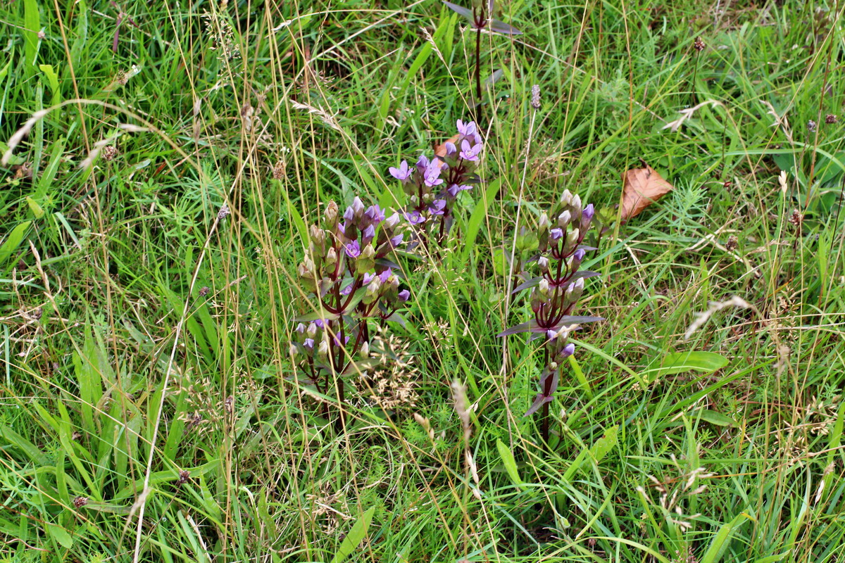 2014_08_15_00049713p_Bildgr��e �ndern