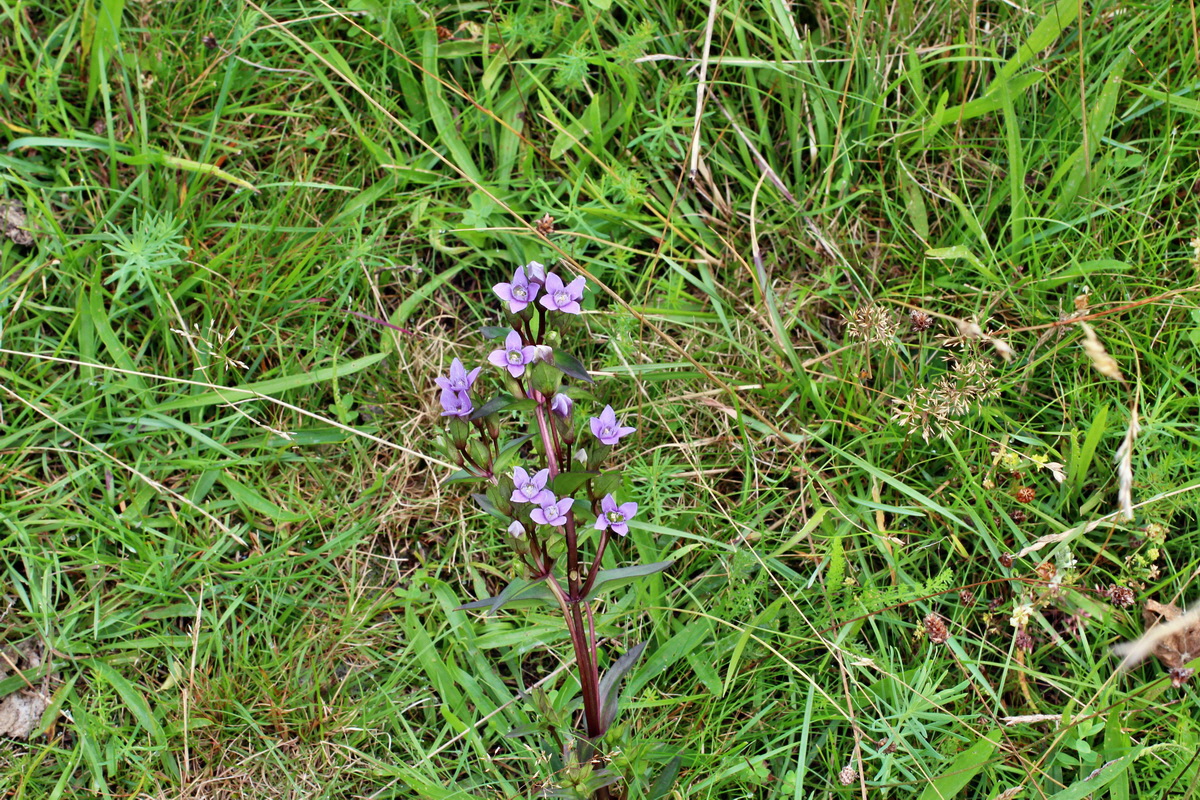 2014_08_15_00049715p_Bildgr��e �ndern