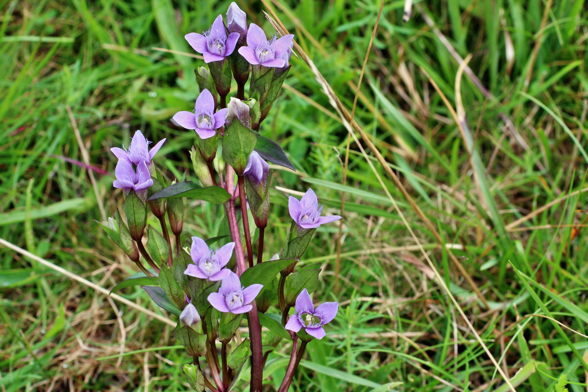 2014_08_15_00049716p_Bildgr��e �ndern