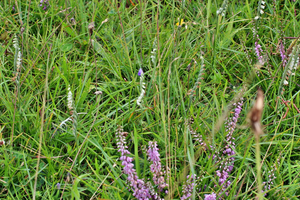 2014_08_15_00049719p_Bildgr��e �ndern