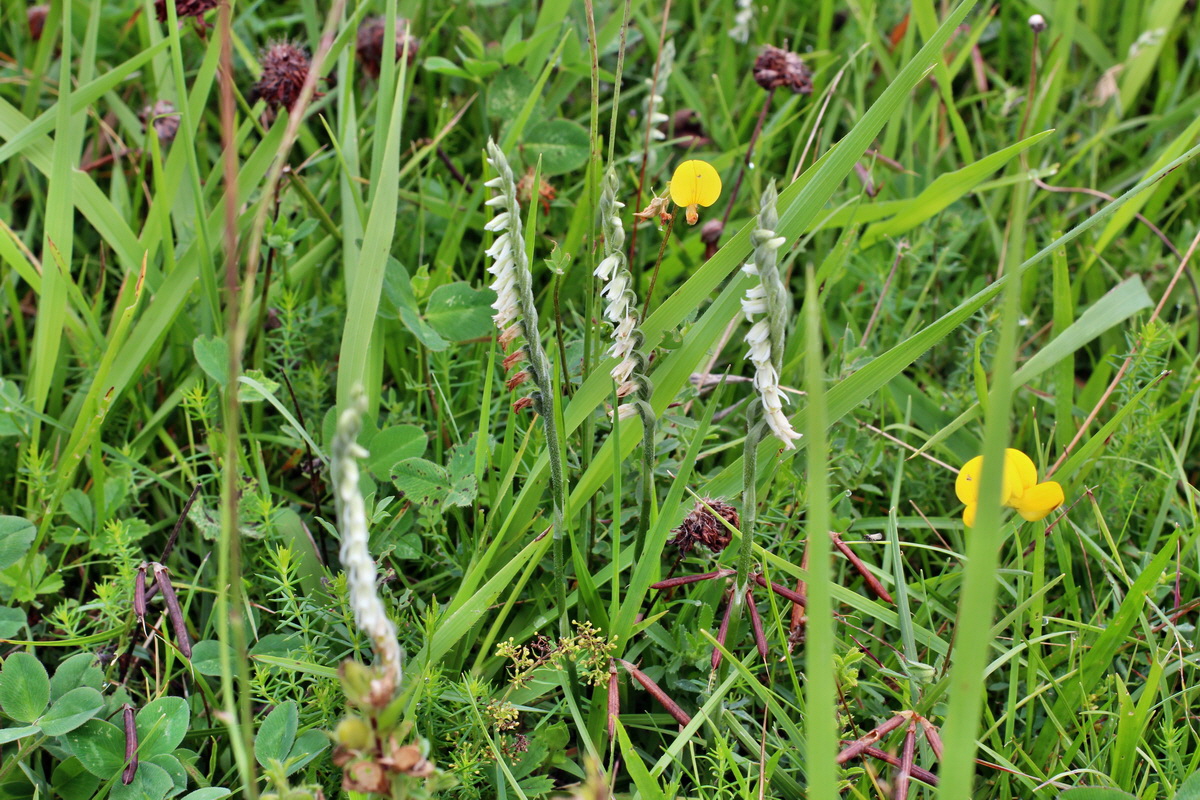 2014_08_15_00049722p_Bildgr��e �ndern