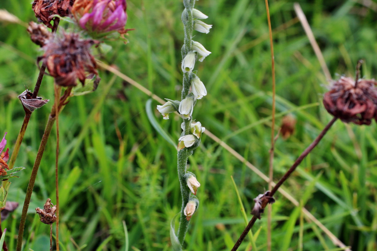 2014_08_15_00049724p_Bildgr��e �ndern