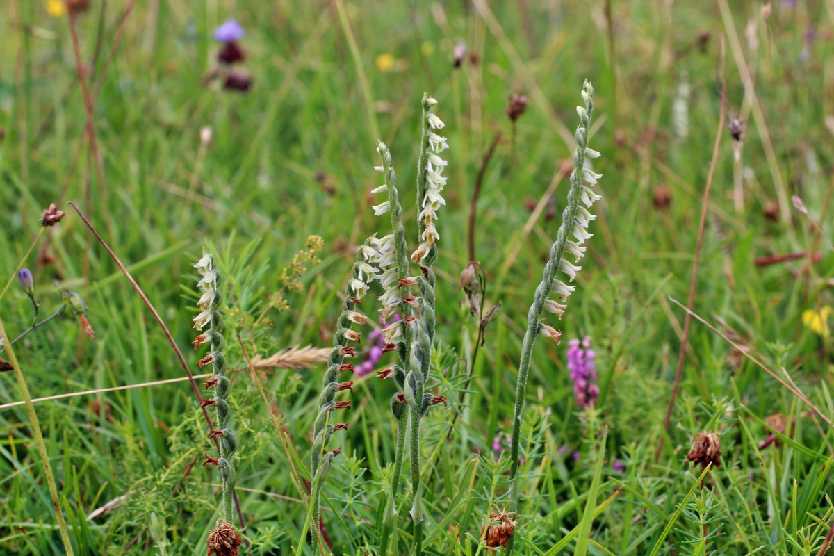 2014_08_15_00049726p_Bildgr��e �ndern