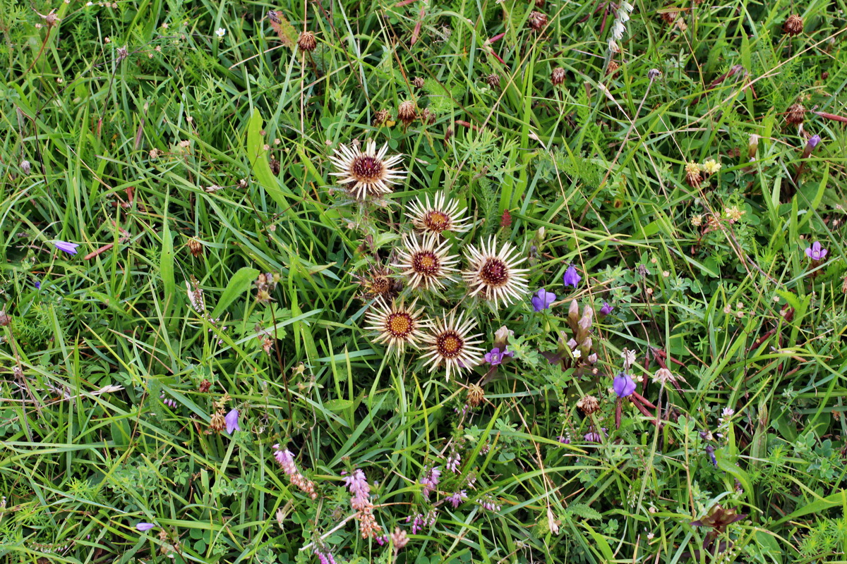 2014_08_15_00049731p_Bildgr��e �ndern