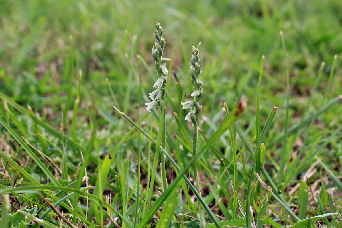 2014_08_15_00049732p_Bildgr��e �ndern