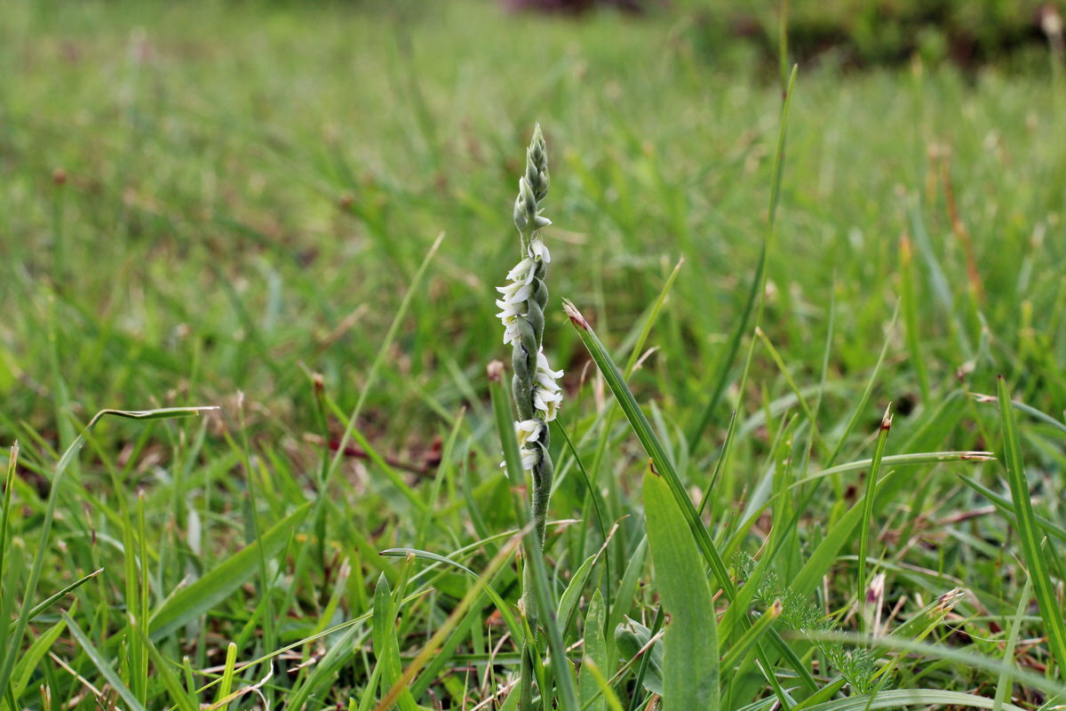 2014_08_15_00049737p_Bildgr��e �ndern