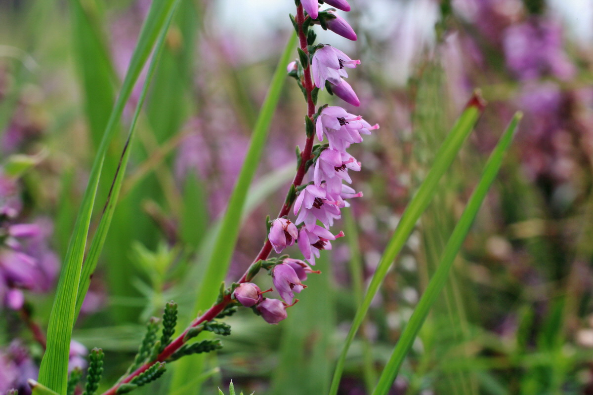 2014_08_15_00049746p_Bildgr��e �ndern