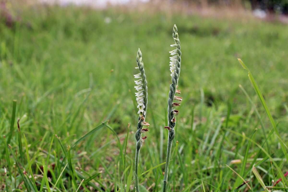 2014_08_15_00049749p_Bildgr��e �ndern