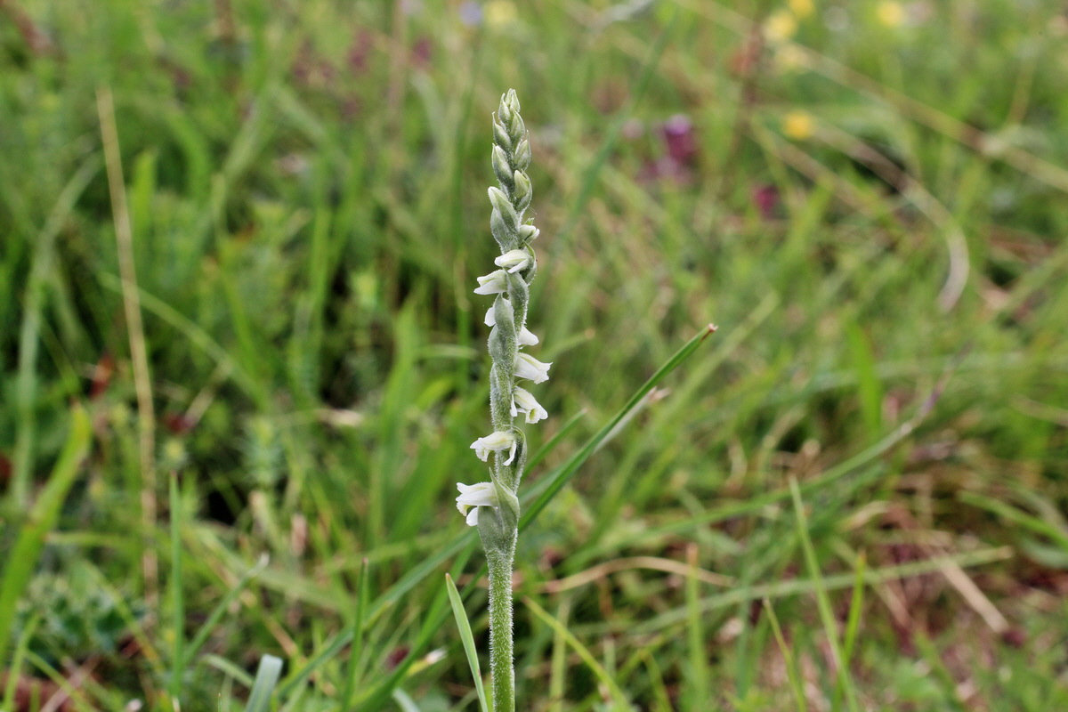 2014_08_15_00049755p_Bildgr��e �ndern