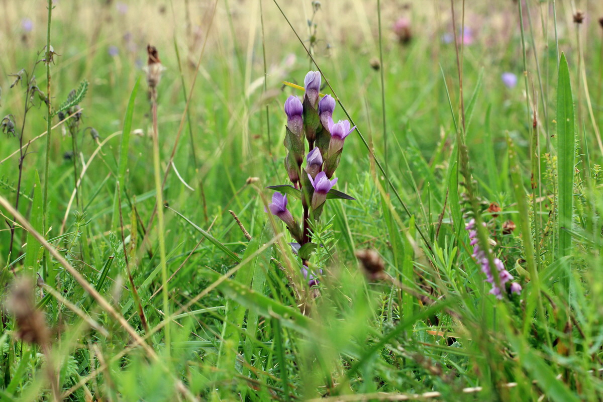 2014_08_15_00049759p_Bildgr��e �ndern