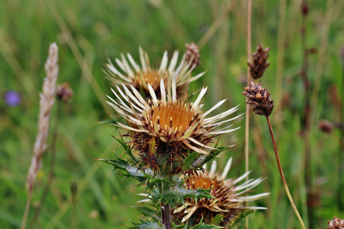 2014_08_15_00049762p_Bildgr��e �ndern