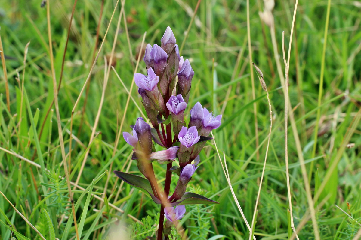 2014_08_15_00049769p_Bildgr��e �ndern