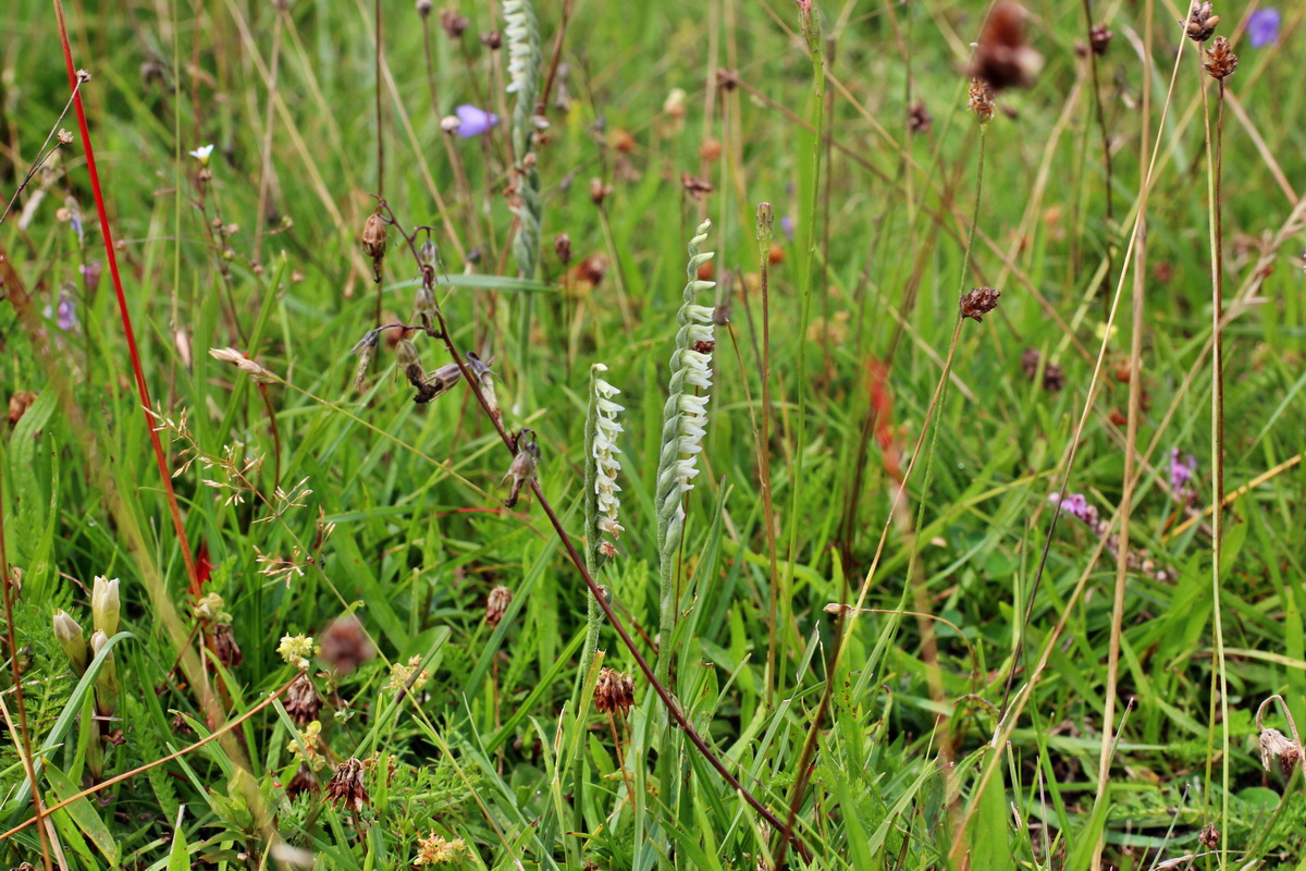 2014_08_15_00049773p_Bildgr��e �ndern