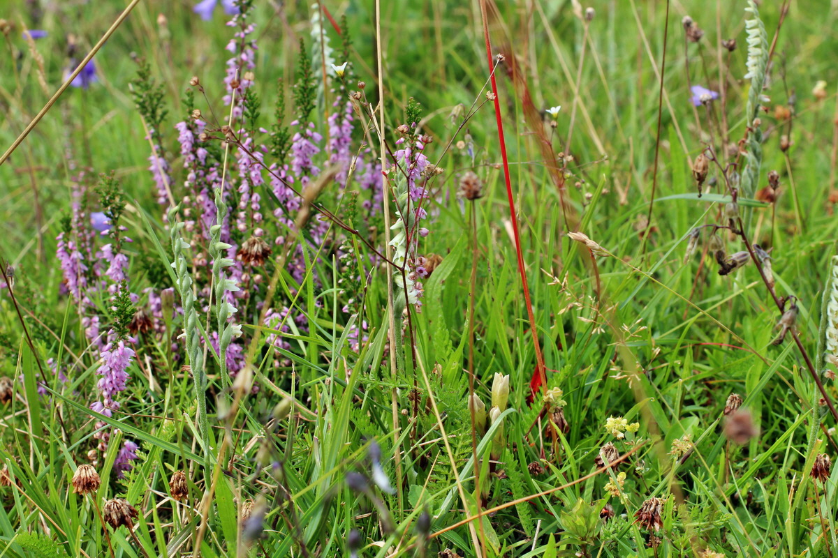 2014_08_15_00049775p_Bildgr��e �ndern